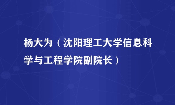 杨大为（沈阳理工大学信息科学与工程学院副院长）