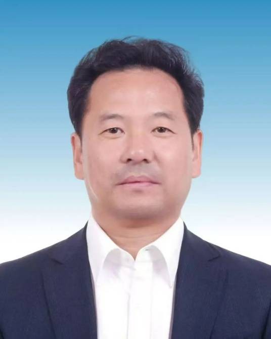 王洋（湖北省武汉市发展和改革委员会主任）