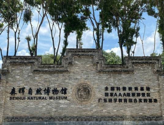 东莞市森晖自然博物馆