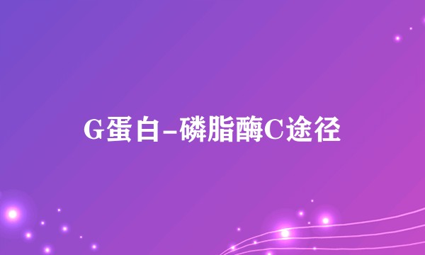 G蛋白-磷脂酶C途径