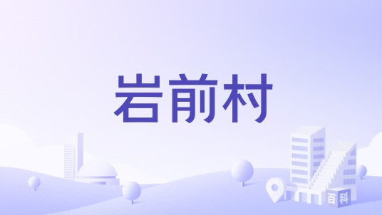 岩前村（浙江省金华市永康市唐先镇下辖村）