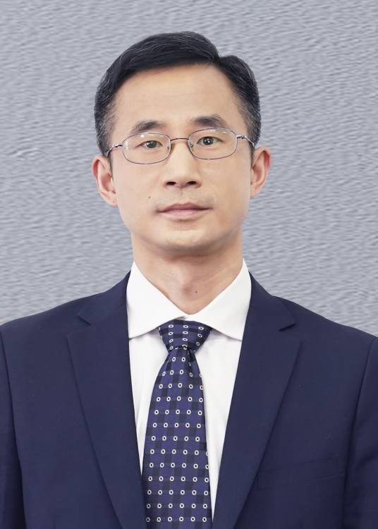 刘青(中国人民大学国家发展与战略研究院执行院长、学术委员会主任,中国人民大学经济学院教授、博导)