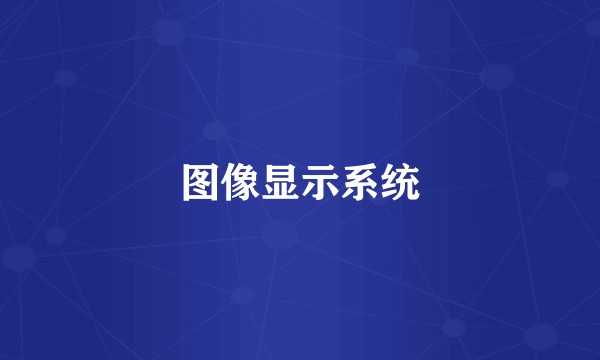 图像显示系统