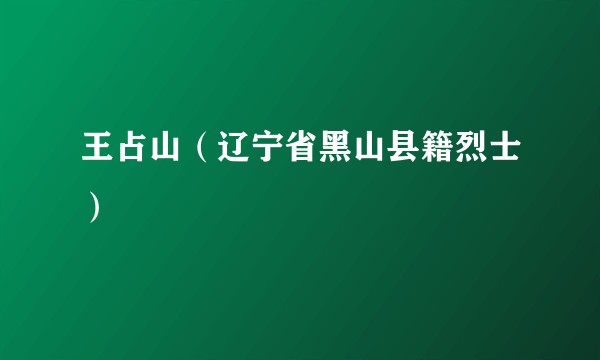 王占山(辽宁省黑山县籍烈士)
