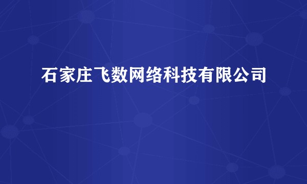 石家庄飞数网络科技有限公司