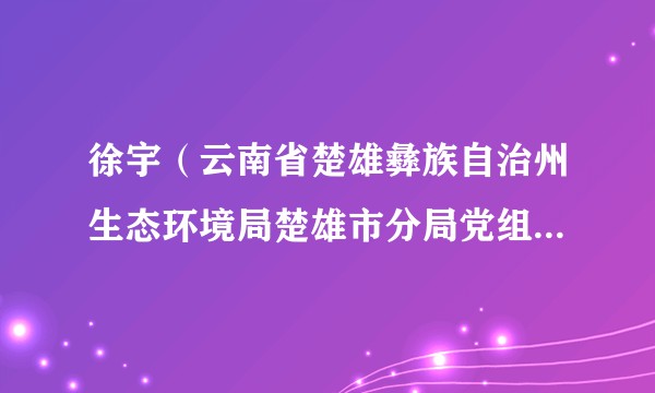 徐宇（云南省楚雄彝族自治州生态环境局楚雄市分局党组成员、副局长）