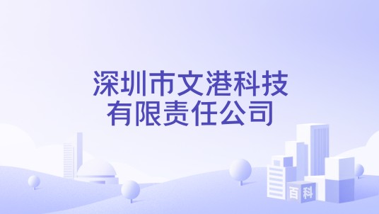 深圳市文港科技有限责任公司