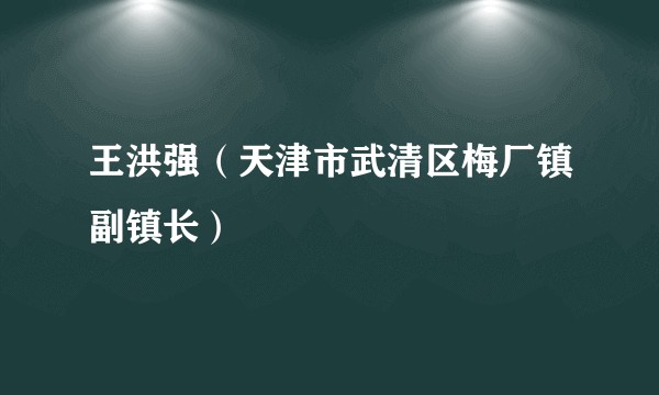 王洪强(天津市武清区梅厂镇副镇长)