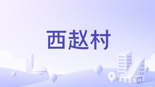 西赵村（山西省运城市夏县禹王镇下辖的行政村）