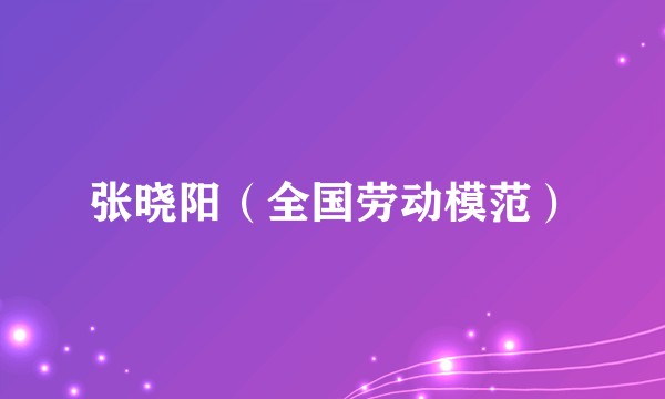 张晓阳（全国劳动模范）