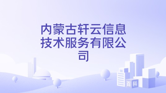 内蒙古轩云信息技术服务有限公司