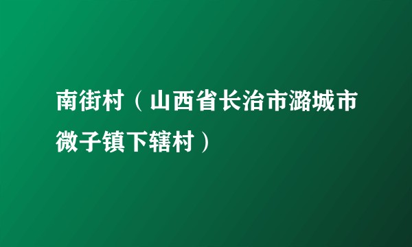 南街村（山西省长治市潞城市微子镇下辖村）