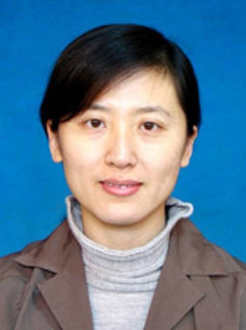 王艳（对外经济贸易大学保险学院副教授）