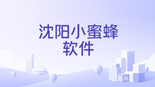 沈阳小蜜蜂软件