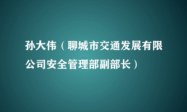 孙大伟（聊城市交通发展有限公司安全管理部副部长）