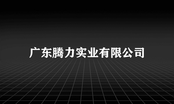 广东腾力实业有限公司