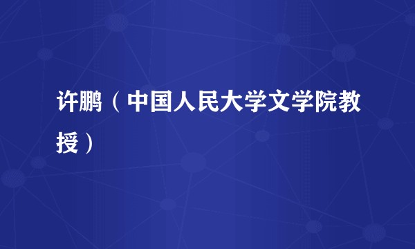 许鹏（中国人民大学文学院教授）