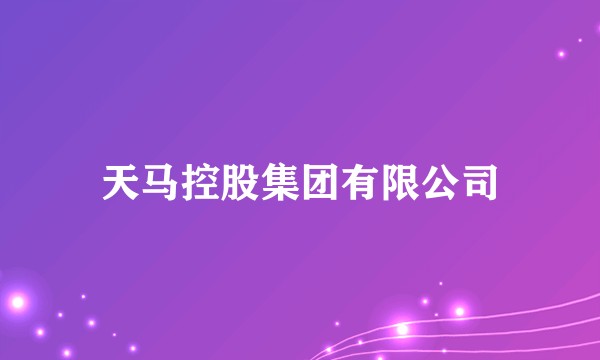 天马控股集团有限公司