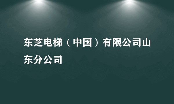 东芝电梯（中国）有限公司山东分公司
