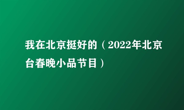 我在北京挺好的(2022年北京台春晚小品节目)