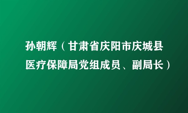 孙朝辉(甘肃省庆阳市庆城县医疗保障局党组成员、副局长)