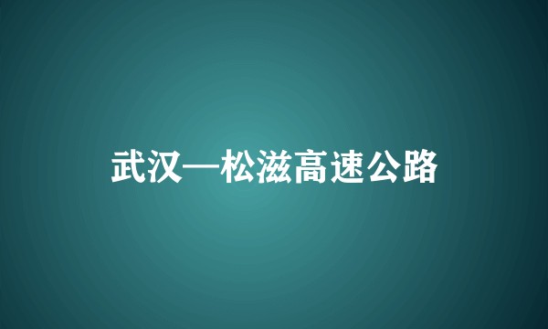 武汉—松滋高速公路