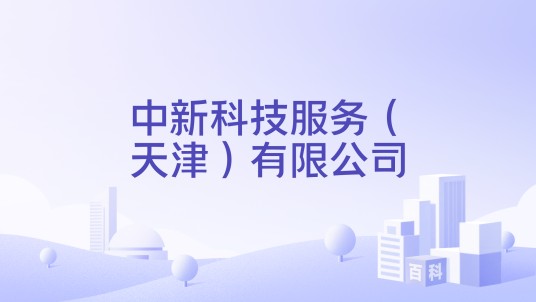 中新科技服务（天津）有限公司