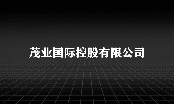 茂业国际控股有限公司