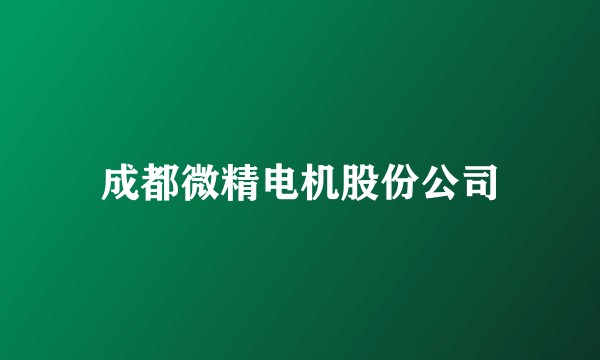 成都微精电机股份公司