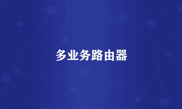 多业务路由器