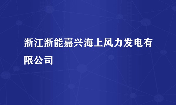 浙江浙能嘉兴海上风力发电有限公司