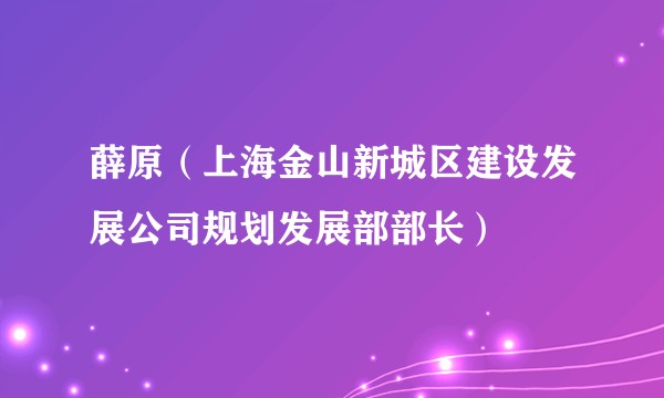 薛原（上海金山新城区建设发展公司规划发展部部长）