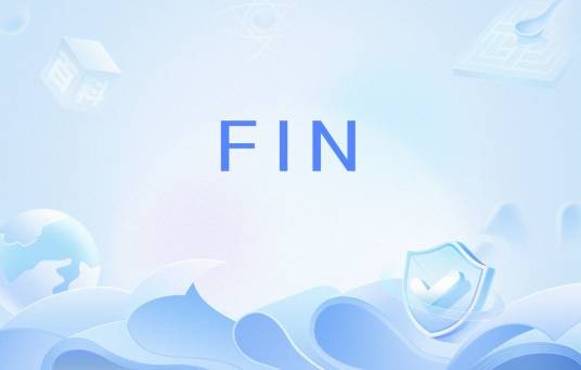 FIN（专业术语）