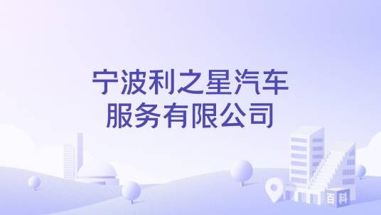 宁波利之星汽车服务有限公司