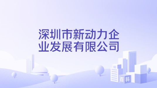 深圳市新动力企业发展有限公司
