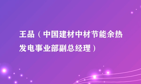 王品（中国建材中材节能余热发电事业部副总经理）
