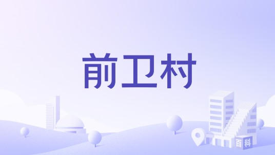 前卫村（云南省玉溪江川县前卫镇行政村）