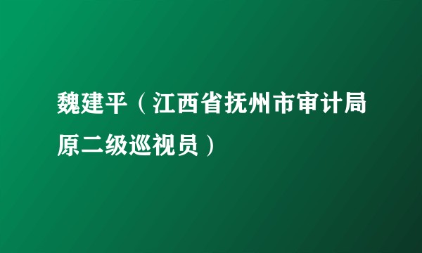 魏建平（江西省抚州市审计局原二级巡视员）