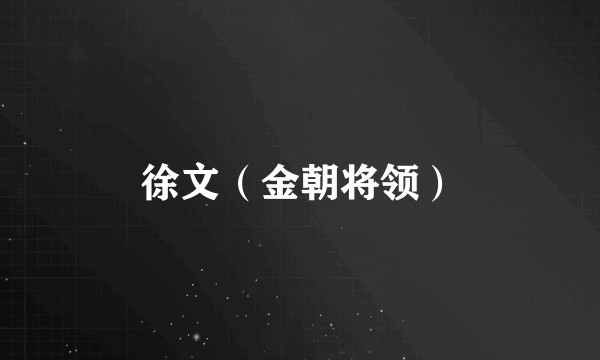 徐文（金朝将领）