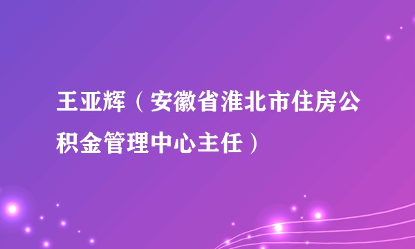 王亚辉(安徽省淮北市住房公积金管理中心主任)