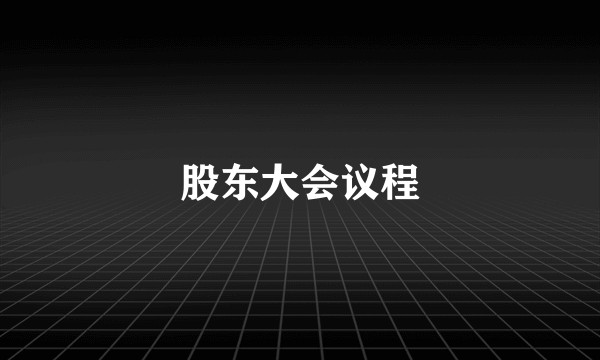 股东大会议程