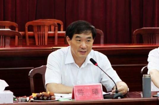 陈曦（江苏扬州市政协党组成员、副主席）