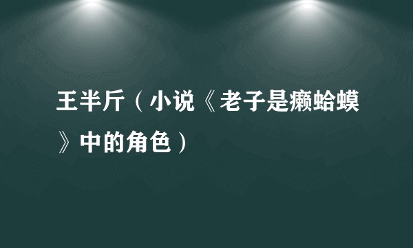 王半斤（小说《老子是癞蛤蟆》中的角色）
