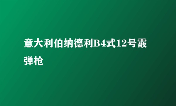 意大利伯纳德利B4式12号霰弹枪