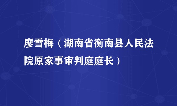 廖雪梅(湖南省衡南县人民法院原家事审判庭庭长)