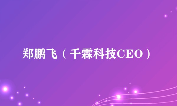 郑鹏飞（千霖科技CEO）