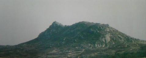 龟山(山东省新泰市龟山)