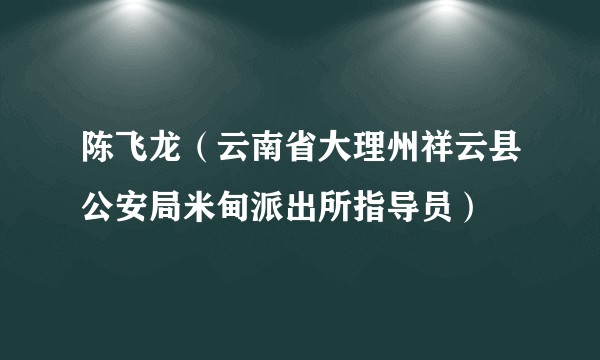 陈飞龙(云南省大理州祥云县公安局米甸派出所指导员)