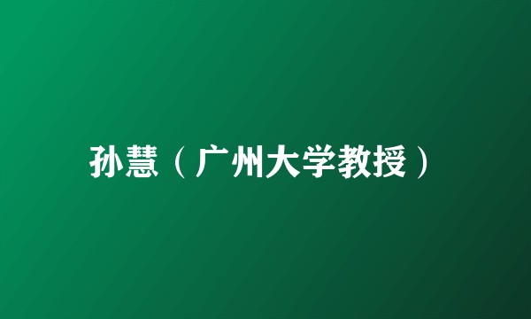 孙慧（广州大学教授）