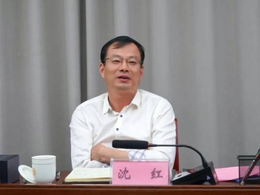沈红（安徽省阜阳市颍上县委副书记、县委政法委书记）